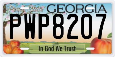 GA license plate PWP8207