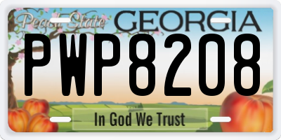 GA license plate PWP8208