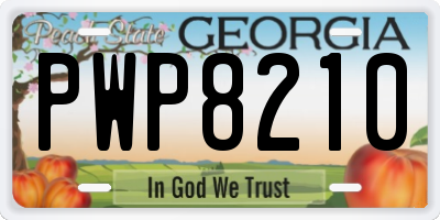 GA license plate PWP8210