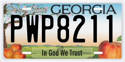 GA license plate PWP8211