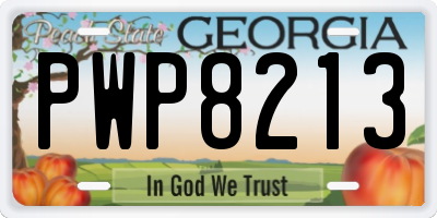 GA license plate PWP8213