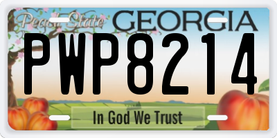 GA license plate PWP8214