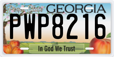GA license plate PWP8216
