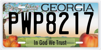 GA license plate PWP8217