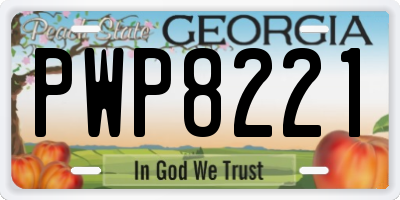 GA license plate PWP8221