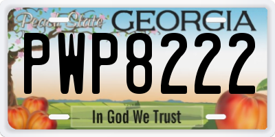 GA license plate PWP8222