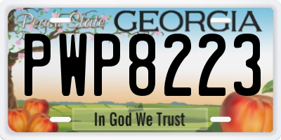 GA license plate PWP8223