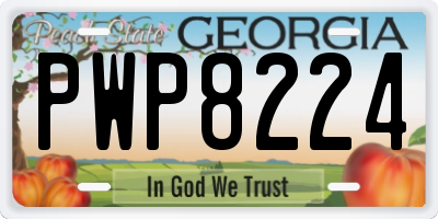 GA license plate PWP8224