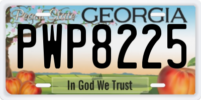 GA license plate PWP8225