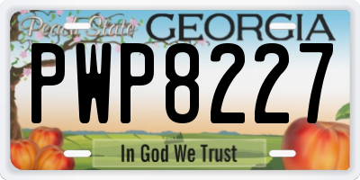GA license plate PWP8227