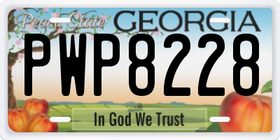 GA license plate PWP8228