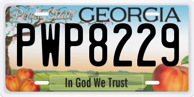 GA license plate PWP8229