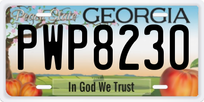 GA license plate PWP8230
