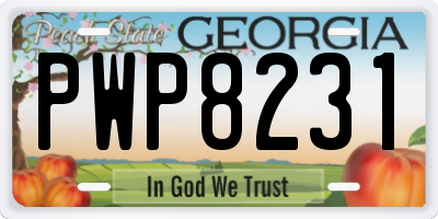 GA license plate PWP8231