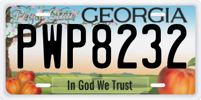 GA license plate PWP8232