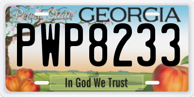 GA license plate PWP8233