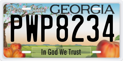 GA license plate PWP8234