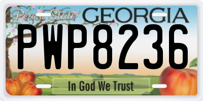 GA license plate PWP8236