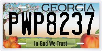 GA license plate PWP8237