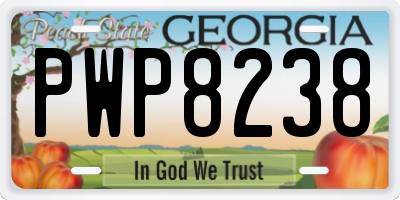 GA license plate PWP8238