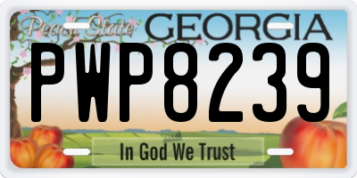 GA license plate PWP8239