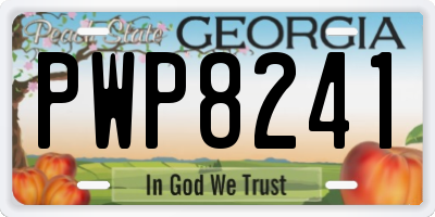 GA license plate PWP8241