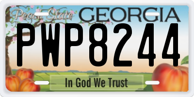 GA license plate PWP8244