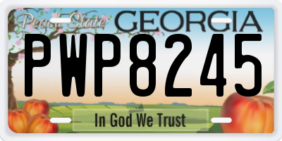 GA license plate PWP8245
