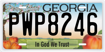 GA license plate PWP8246