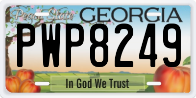 GA license plate PWP8249