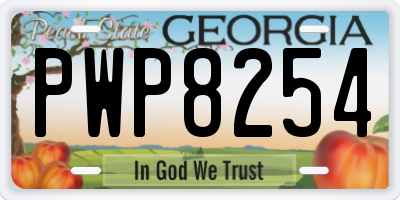 GA license plate PWP8254