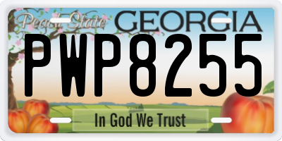 GA license plate PWP8255