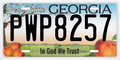 GA license plate PWP8257