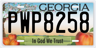 GA license plate PWP8258
