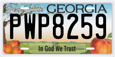 GA license plate PWP8259