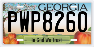 GA license plate PWP8260