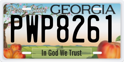 GA license plate PWP8261