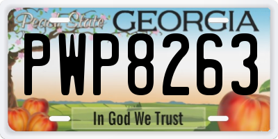 GA license plate PWP8263
