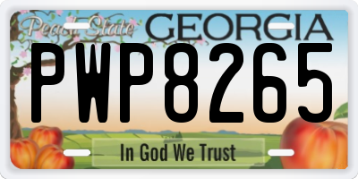 GA license plate PWP8265