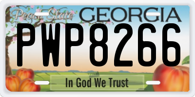 GA license plate PWP8266