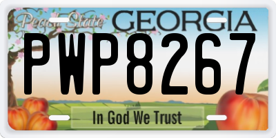 GA license plate PWP8267