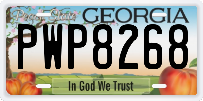 GA license plate PWP8268