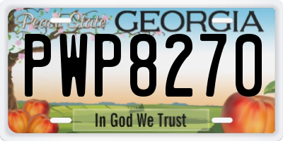 GA license plate PWP8270