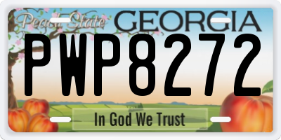 GA license plate PWP8272