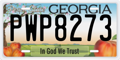 GA license plate PWP8273