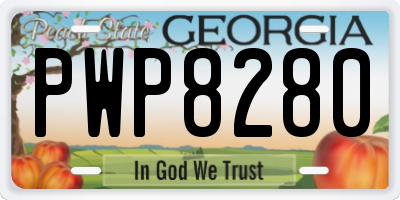GA license plate PWP8280