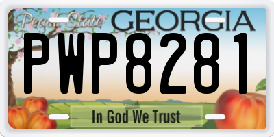 GA license plate PWP8281