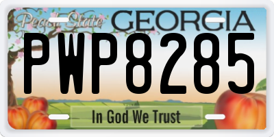 GA license plate PWP8285