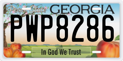 GA license plate PWP8286