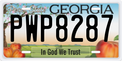 GA license plate PWP8287